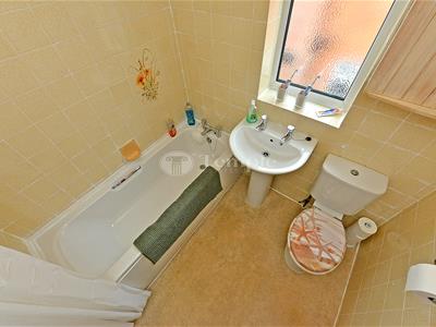 Picture 17